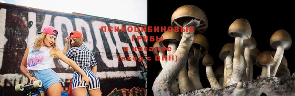 мяу мяу мука Гусь-Хрустальный
