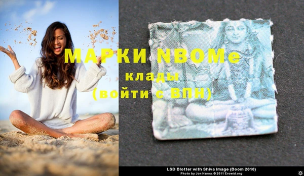 PSILOCYBIN Горно-Алтайск