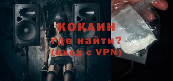 прущие грибы Горняк