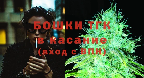 мяу мяу мука Гусь-Хрустальный