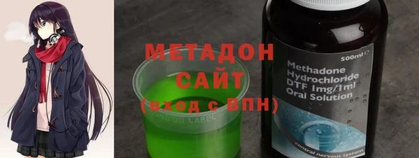 прущие грибы Горняк