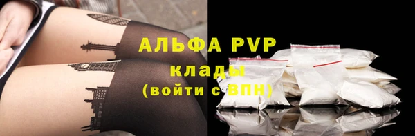 прущие грибы Горняк