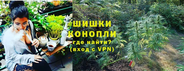 мяу мяу мука Гусь-Хрустальный