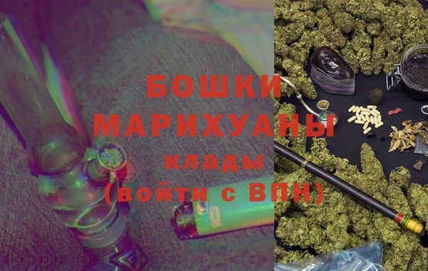 PSILOCYBIN Горно-Алтайск