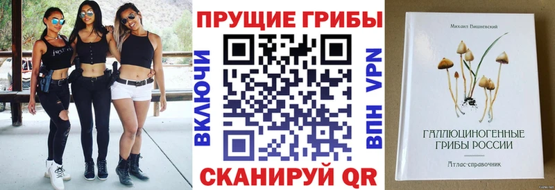 Галлюциногенные грибы мицелий  сколько стоит  Жигулёвск 