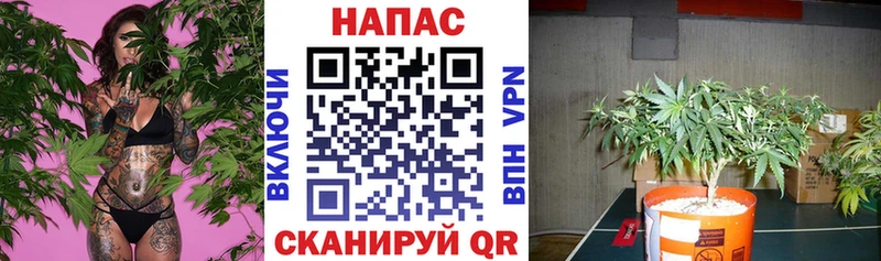 МЕГА ONION  Жигулёвск  Марихуана THC 21% 